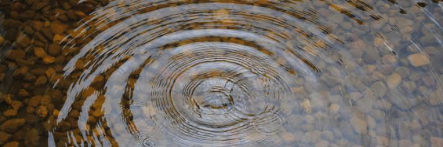 Cover image for post Untitled, by Grandiflorus