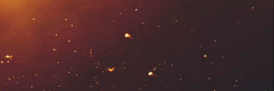 Cover image for post ,, by anarosewood