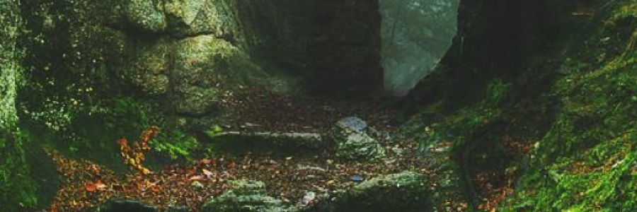 Cover image for post a glimpse of something, by Yuki