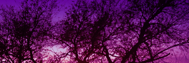 Cover image for post Moments, by ShaneThompson