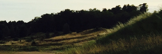 Cover image for post Gamla Uppsala, by modteis