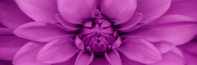 Cover image for post Let a new day be another opportunity for you to shine, by StellarMoon