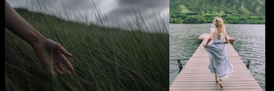 Cover image for post the tastes of wonders (first steps into the new), by Yuki