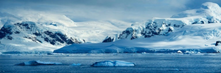 Cover image for post I’m in Antarctica..., by Grandiflorus