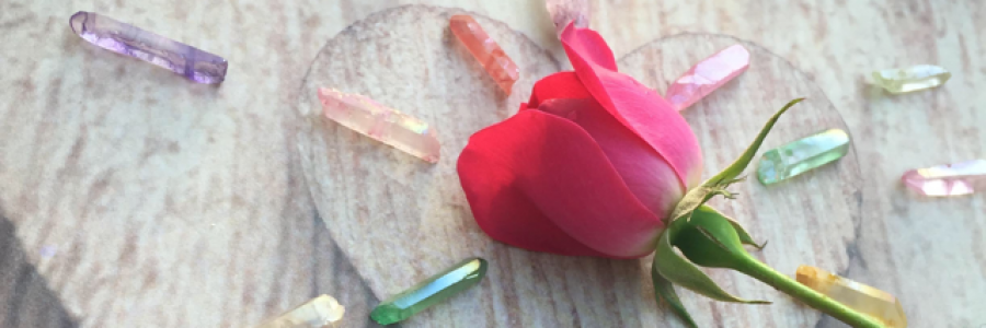 Cover image for post How., by NessaNix