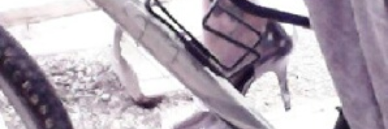 Cover image for post Unfit, by Biochicklet