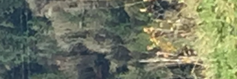 Cover image for post Yesterday, by modteis