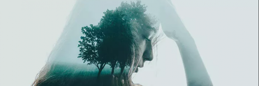 Cover image for post grounded mind, by anarosewood