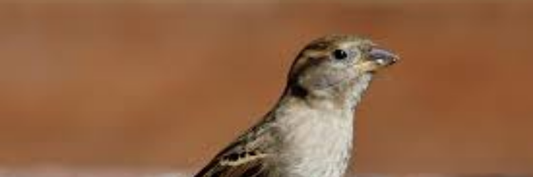 Cover image for post Stop at unicorn, by AlwaysInTao