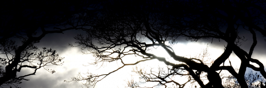 Cover image for post Hell, by Kamoni_Rose