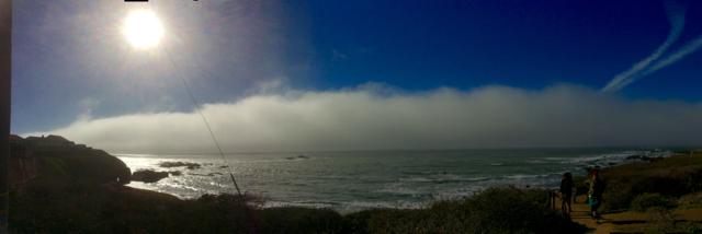 Cover image for post Forward, by vibrant_kesh