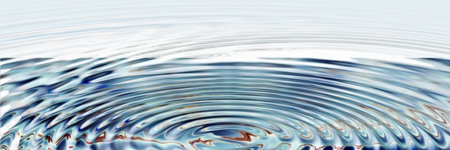 Cover image for post Circles of Light, by CoachNJ