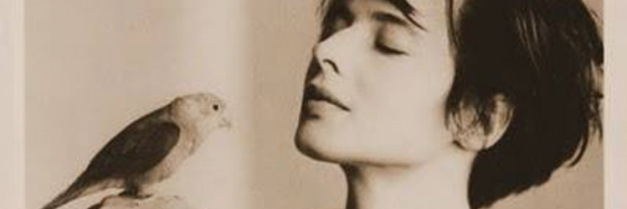 Cover image for post A Hunger for Simplicity, by Fallen_Sparrow