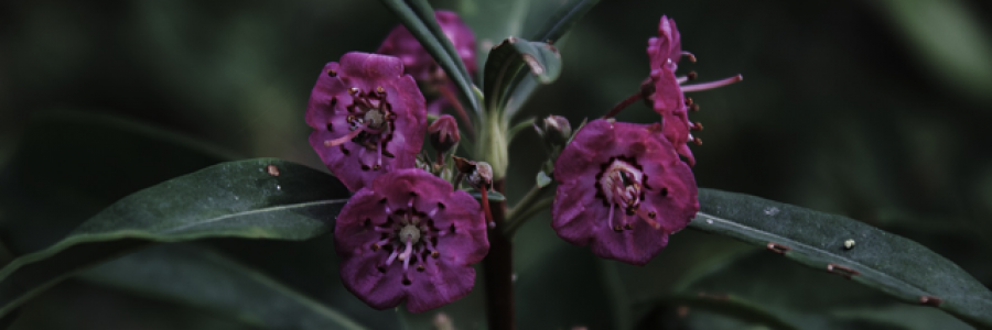 Cover image for post You killed yourself today., by Justbrainstatic