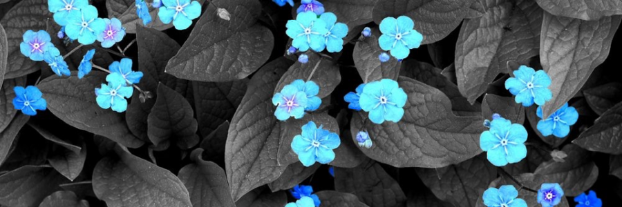 Cover image for post CHAOS: Chapter 2: New Year, Not a New Me, by _daylaylay_16