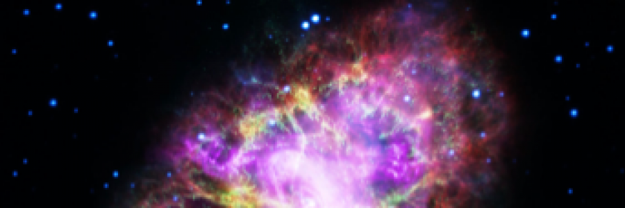 Cover image for post Impactful Beauty, by TeaRise