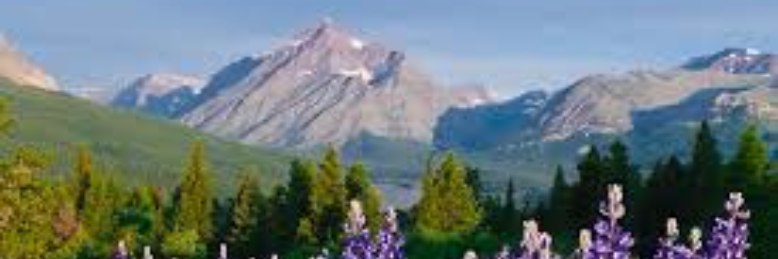 Cover image for post remember San Bernadino, by wordSwork