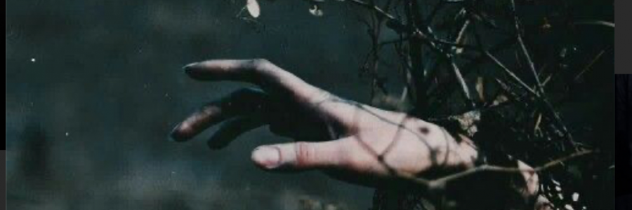 Cover image for post One More Step, by Mariya0325