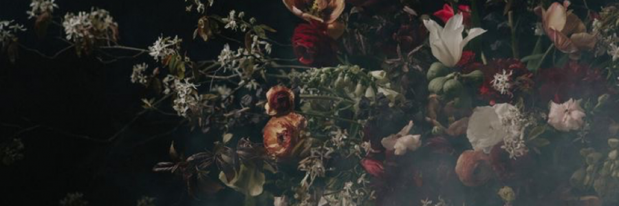 Cover image for post Spring Undone, by Mariya0325