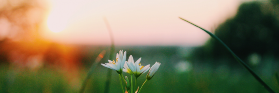 Cover image for post Stubborn Love, by LoganDonovan8