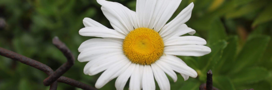 Cover image for post Our Unfortunate Tendencies, by LoganDonovan8