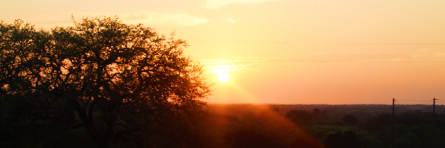 Cover image for post Dreaming, by LoganDonovan8