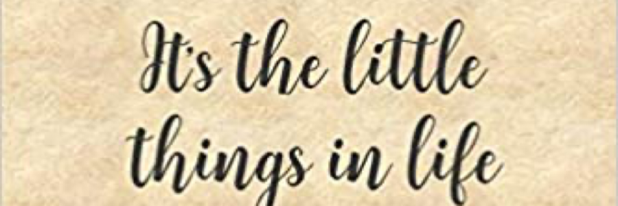 Cover image for post The little things, by KingsReign