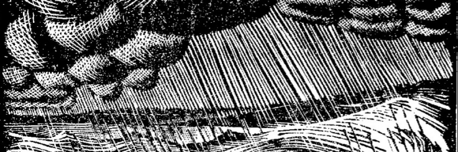 Cover image for post THE DELUGE, by JD4