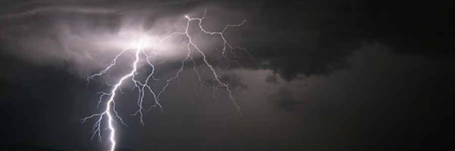 Cover image for post sting, by elled