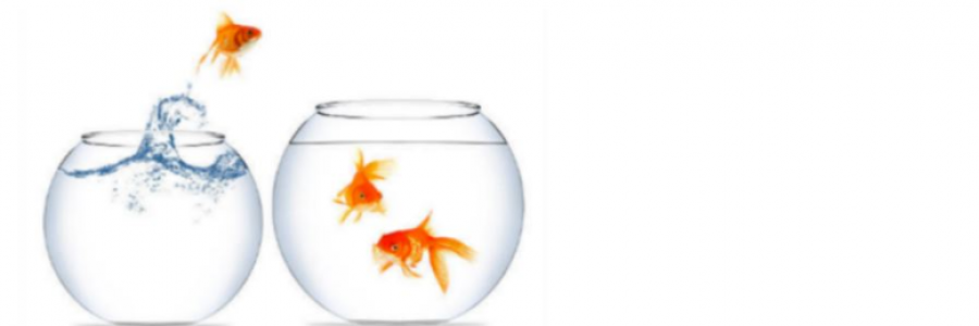 Cover image for post Nothin’ more & nothin’ less, by JimLamb