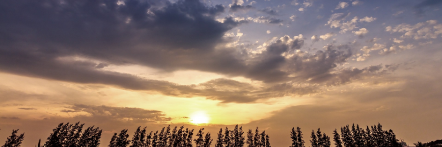 Cover image for post Clashing Aubades, by VT_Poetess