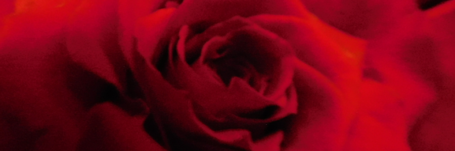 Cover image for post Passion, by LexiCon