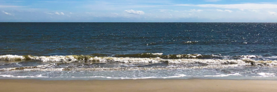 Cover image for post Curses!, by wardnerm