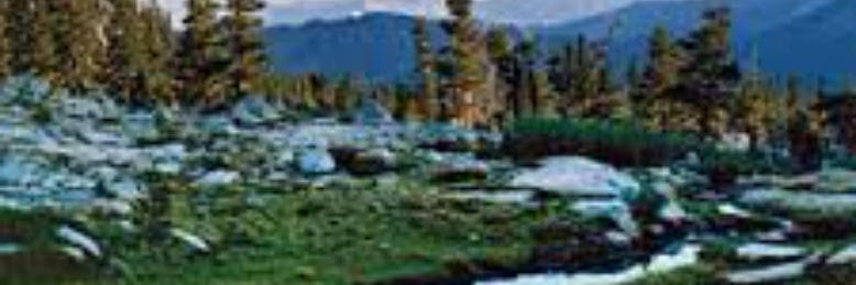 Cover image for post wilderness Stargate, by wordSwork