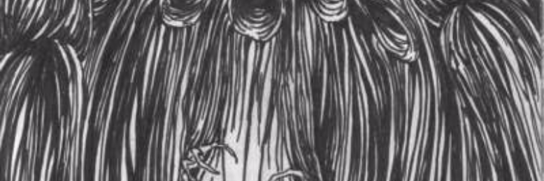 Cover image for post Fear that fear already won., by A