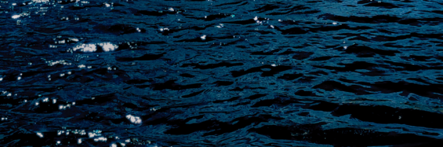 Cover image for post no small thing, by wardnerm