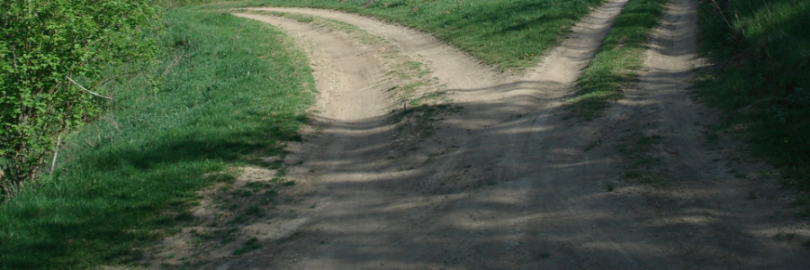 Cover image for post Grueling Roads, by VT_Poetess