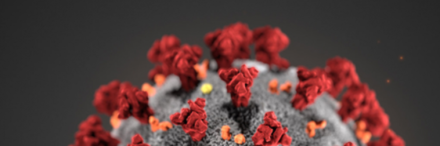 Cover image for post 2020 ApOcAlYpSe, by littlesquiddie