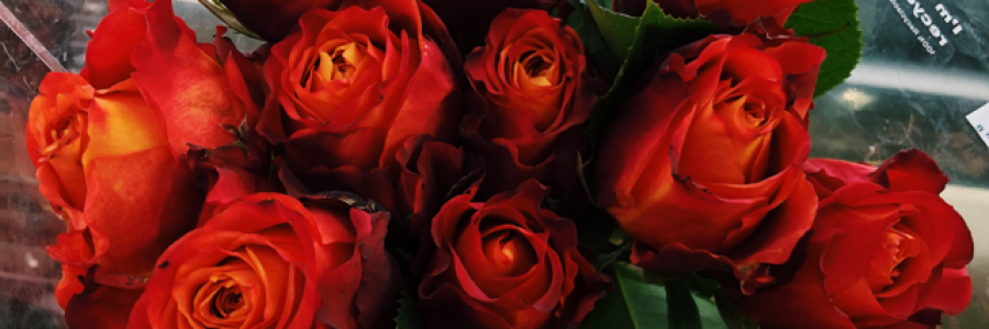 Cover image for post just one to hold onto, by alexandrak