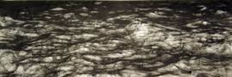 Cover image for post The Sounds of Fear, by UnknownPurpose