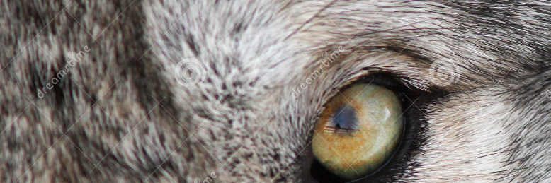 Cover image for post Two More Holes, by Lynnkindler