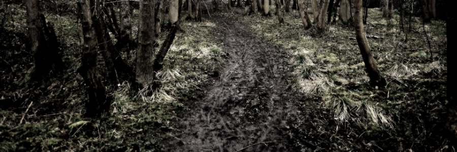 Cover image for post Mud, by VT_Poetess