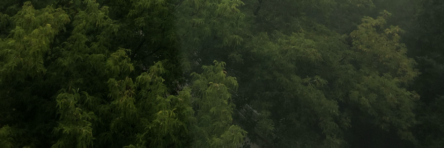 Cover image for post Wonderlustfalls, by Wonderlustfalls