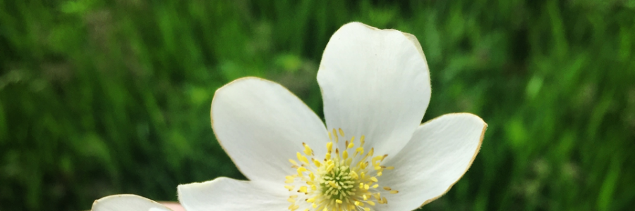 Cover image for post Oh sweetie, you have a disorder, by Wonderlustfalls