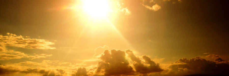 Cover image for post Guess Who, by Danceinsilence