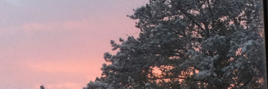 Cover image for post I’m sorry I couldn’t save you., by Justbrainstatic