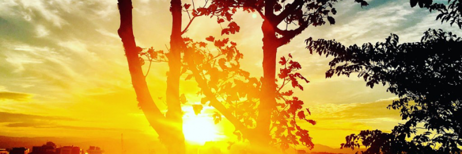 Cover image for post Innovation of the Dawn, by Bunny