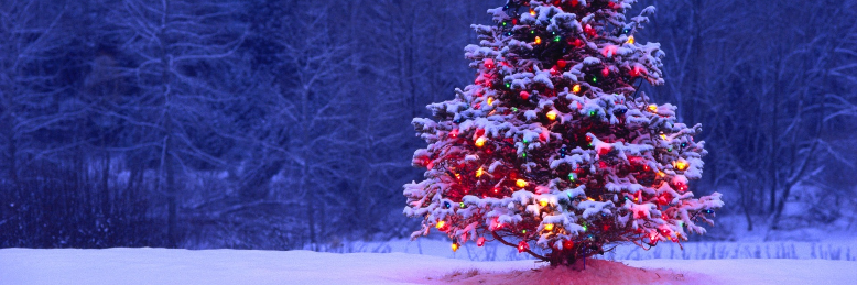 Cover image for post Cheesy Christmas Sentiment, by EBJohnson