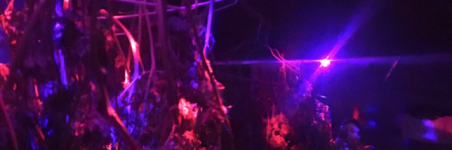 Cover image for post Silence, by RamonElCamino