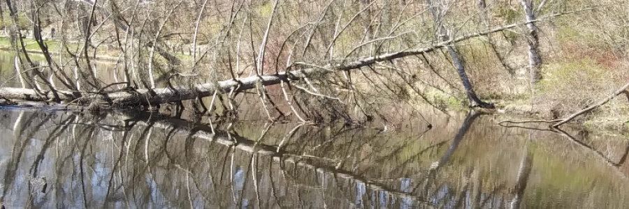 Cover image for post Take Back Land, by Bunny